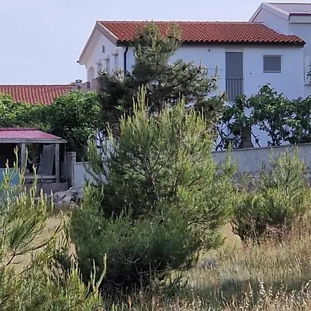 Ema Apartment Vir